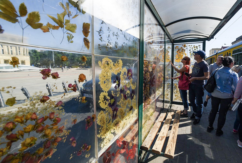 Dominika Cebula'nın kurutulmuş çiçeklerle kaplı otobüs durağı projesi