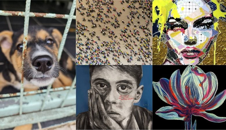 Sokak Hayvanları için Sanat Dünyası Bir Araya Geliyor