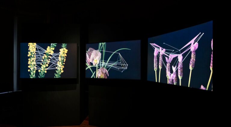 Kalyon Kültür, Flora, Quayola, Doğa 1-2-3, Fotoğraf: Orhan Cem Çetin, 2022