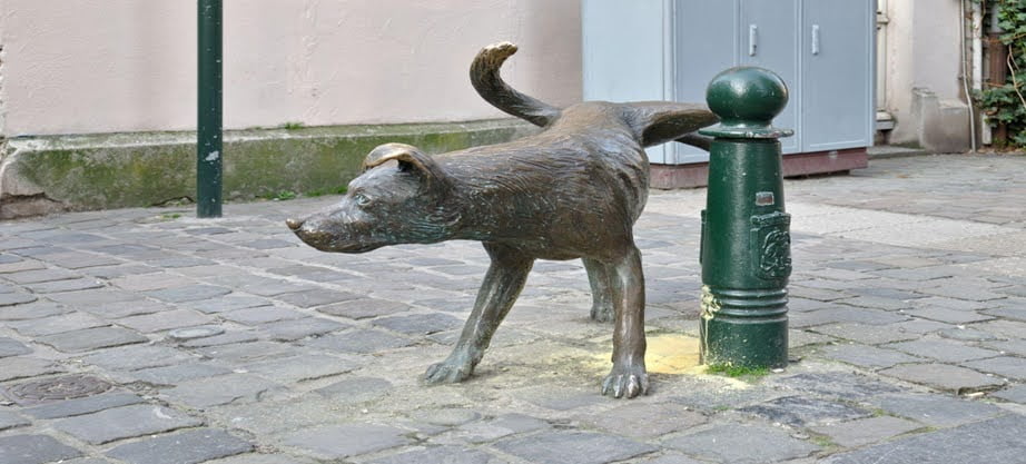 Bazen Manneken Pis'e benzetilerek Zinneke Pis olarak da adlandırılan Het Zinneke, Brüksel, Belçika'nın merkezinde 1998'de dikilmiş bronz bir heykeldir. Tom Frantzen tarafından yaratılmıştır, Manneken Pis ve onun türevi Jeanneke Pis ile aynı çizgide idrar yapan bir köpeği temsil eder.