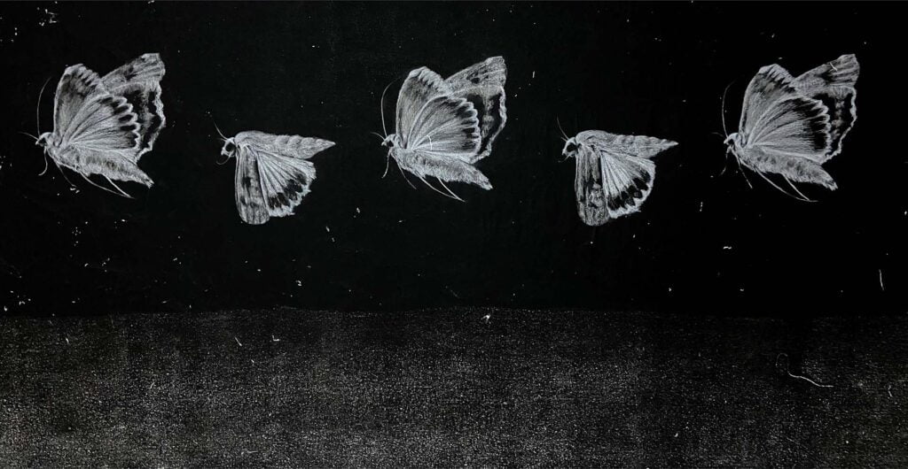 Özge Akdeniz Wings Depressed / Tuval Bezi Üzeri Kuru Kalem Boya / 120x400 cm, 2022