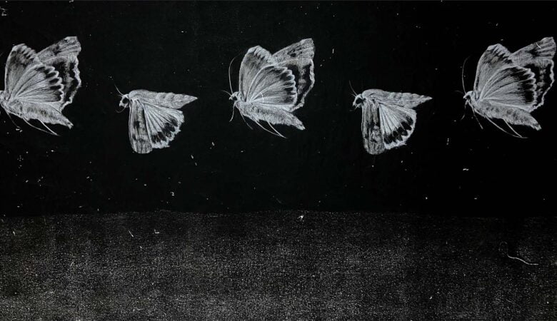 Özge Akdeniz Wings Depressed / Tuval Bezi Üzeri Kuru Kalem Boya / 120x400 cm, 2022