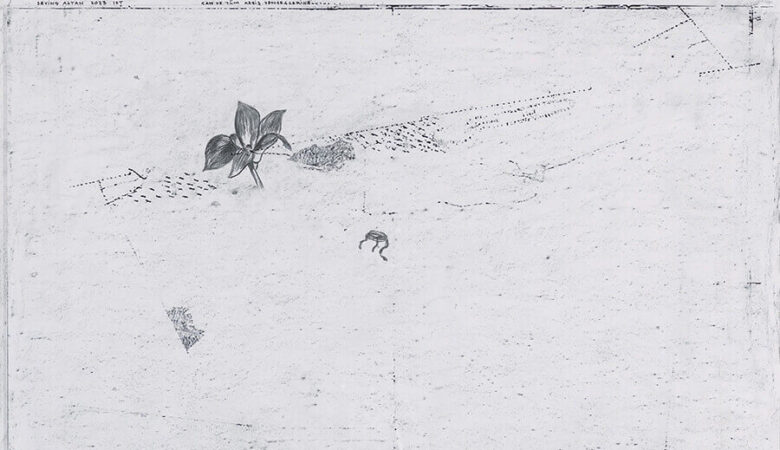 Sevinç Altan, İsimsiz (Keşiş Yengecinin Evi), 2023, Kağıt üzerine karışık teknik, 102 x 227,5 cm