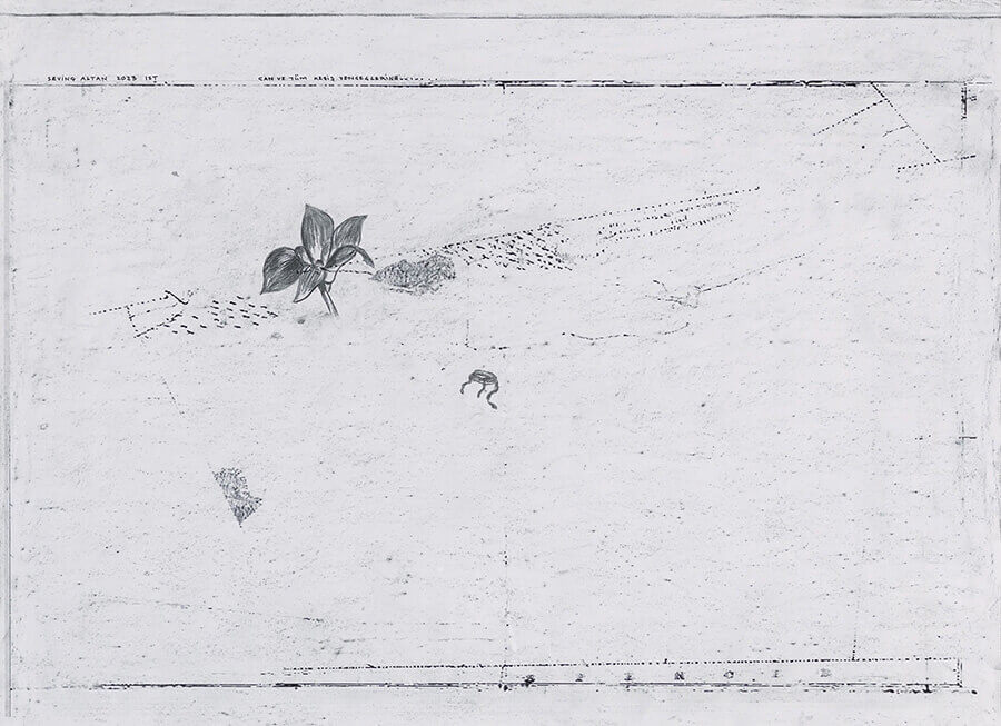 Sevinç Altan, İsimsiz (Keşiş Yengecinin Evi), 2023, Kağıt üzerine karışık teknik, 102 x 227,5 cm