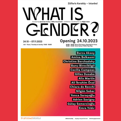 What is Gender?