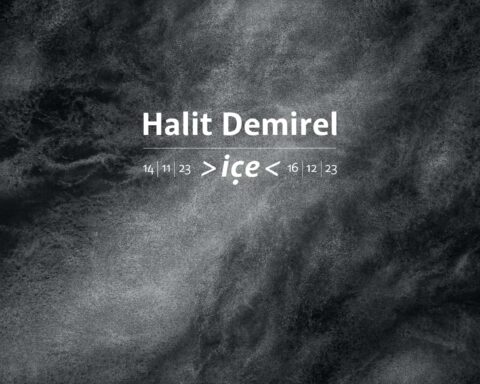 Halit Demirel, “içe”