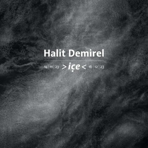 Halit Demirel, “içe”