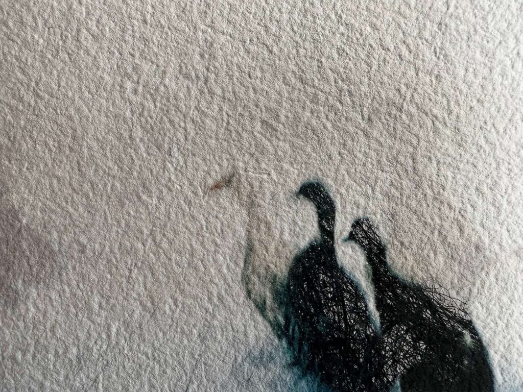 Geese on watercolor paper, Nurra Yazıcı