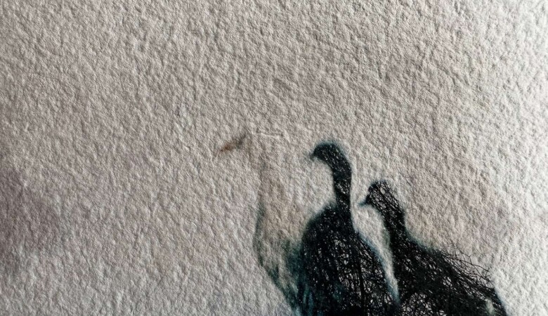Geese on watercolor paper, Nurra Yazıcı