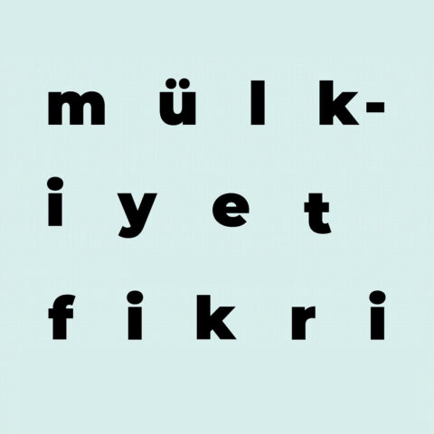 "Mülkiyet Fikri"