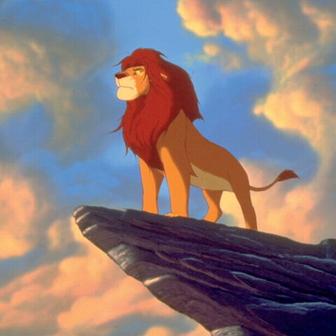 The Lion King (Aslan Kral)