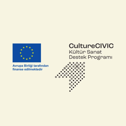 CultureCIVIC: Kapasite Geliştirme Programı