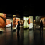 Doug Aitken, uyurgezerler (2007)