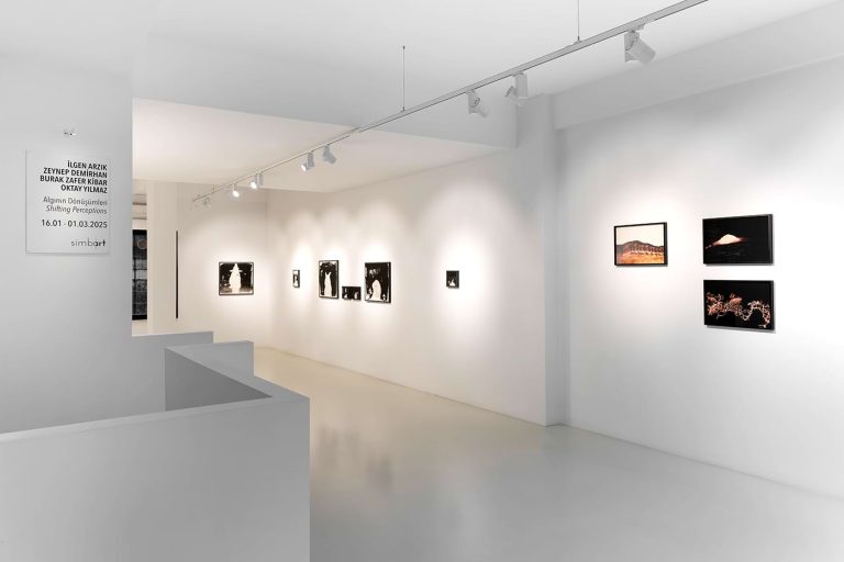 Simbart Projects, Algının Dönüşümleri
