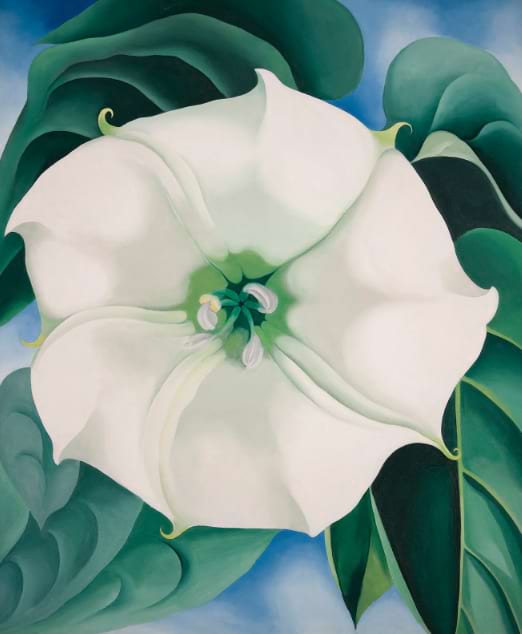 Georgia O'Keeffe, Beyaz Çiçek, New Mexico, 1932