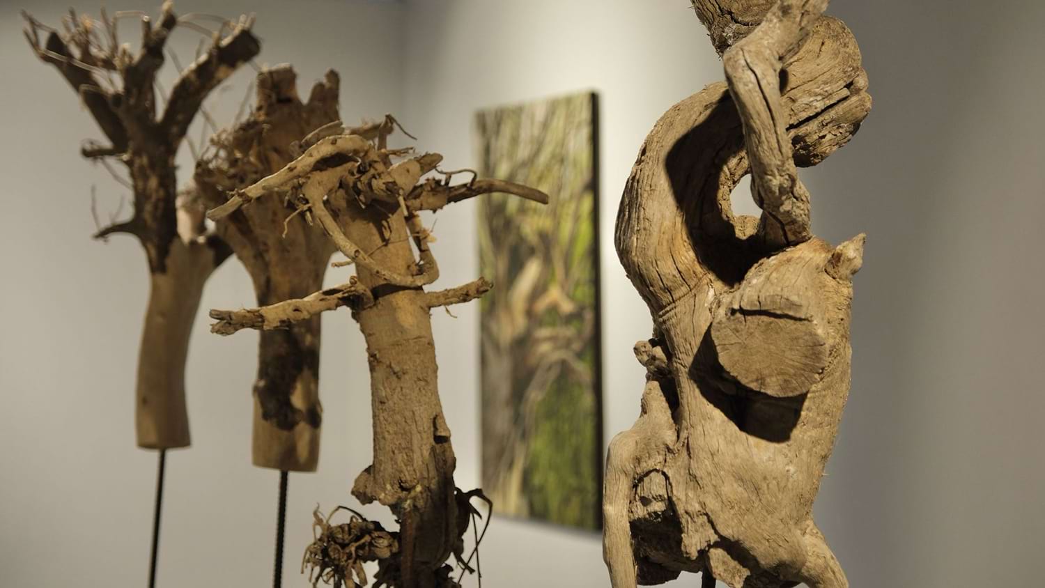 EArt Galeri, Kırılma Hattı