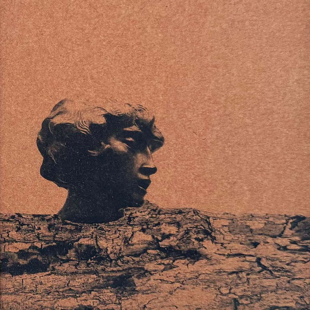 Begüm Mütevellioğlu, Fragment III ( Adams head ) - DETAY