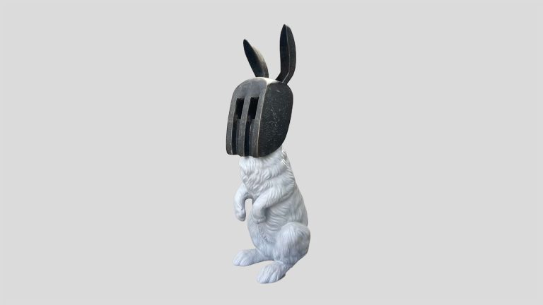 Rabbit, Duygu Ergör Baur