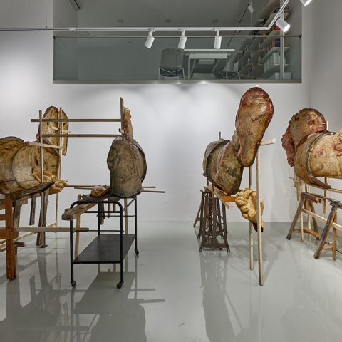Guido Casaretto, “Başıboşlar, Gergedanlar ve Yanlış Anlamalar Hakkında” Sergisi, 2025, YUNT (Foto: Barış Özçetin)
