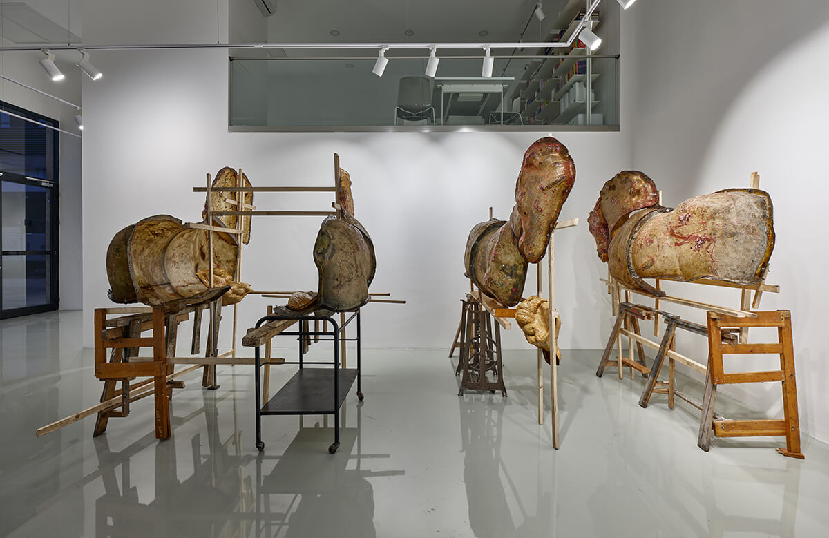 Guido Casaretto, “Başıboşlar, Gergedanlar ve Yanlış Anlamalar Hakkında” Sergisi, 2025, YUNT (Foto: Barış Özçetin)