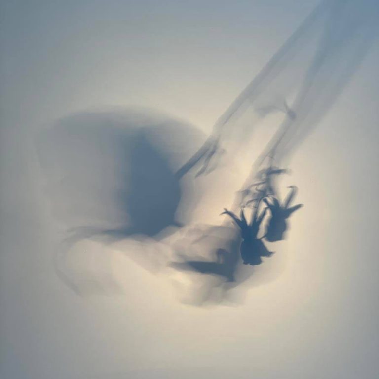 Larry Muñoz "Graceful Elegant Beasts" sergisinden.