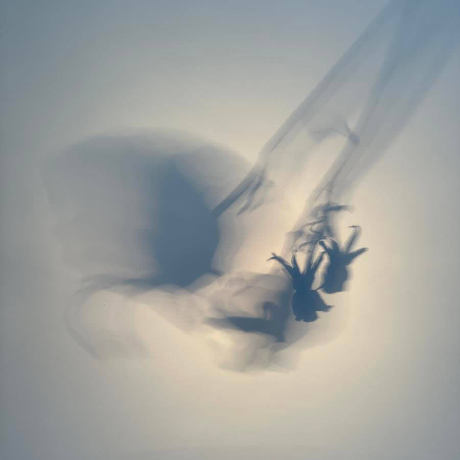 Larry Muñoz "Graceful Elegant Beasts" sergisinden.