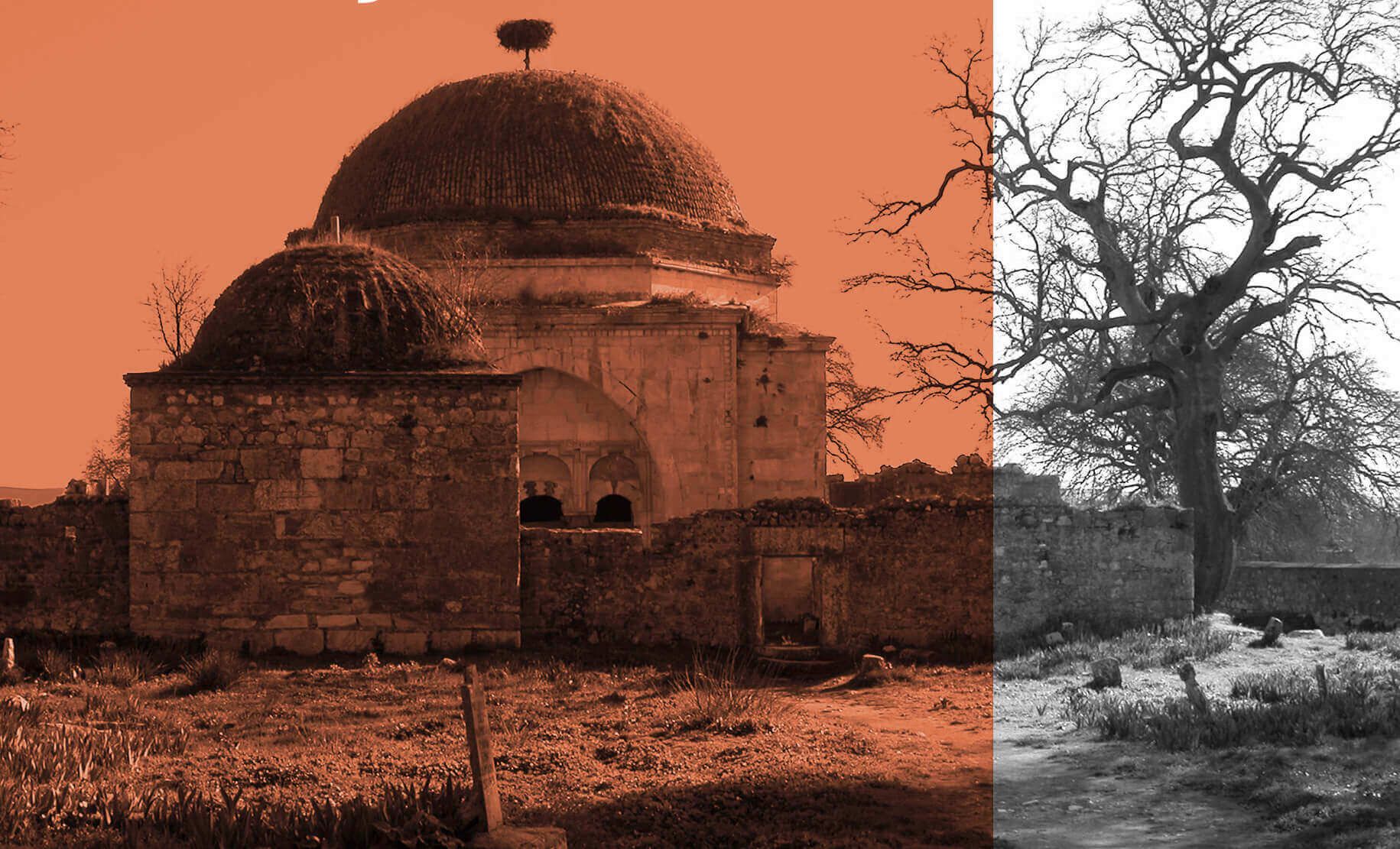 Restore Etmeyelim, Koruyalım! (detay)