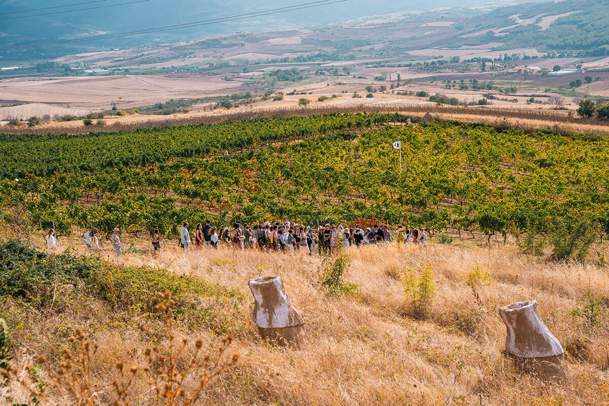 Barbare Bağları