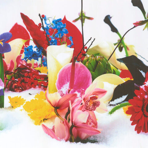 Marc Quinn, İsimsiz, "Ortak Duygular: British Council Koleksiyonu’ndan Yapıtlar" Sergisi, 2025, Pera Müzesi