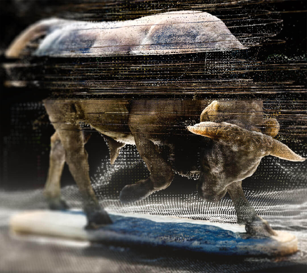 Ars Electronica İstanbul