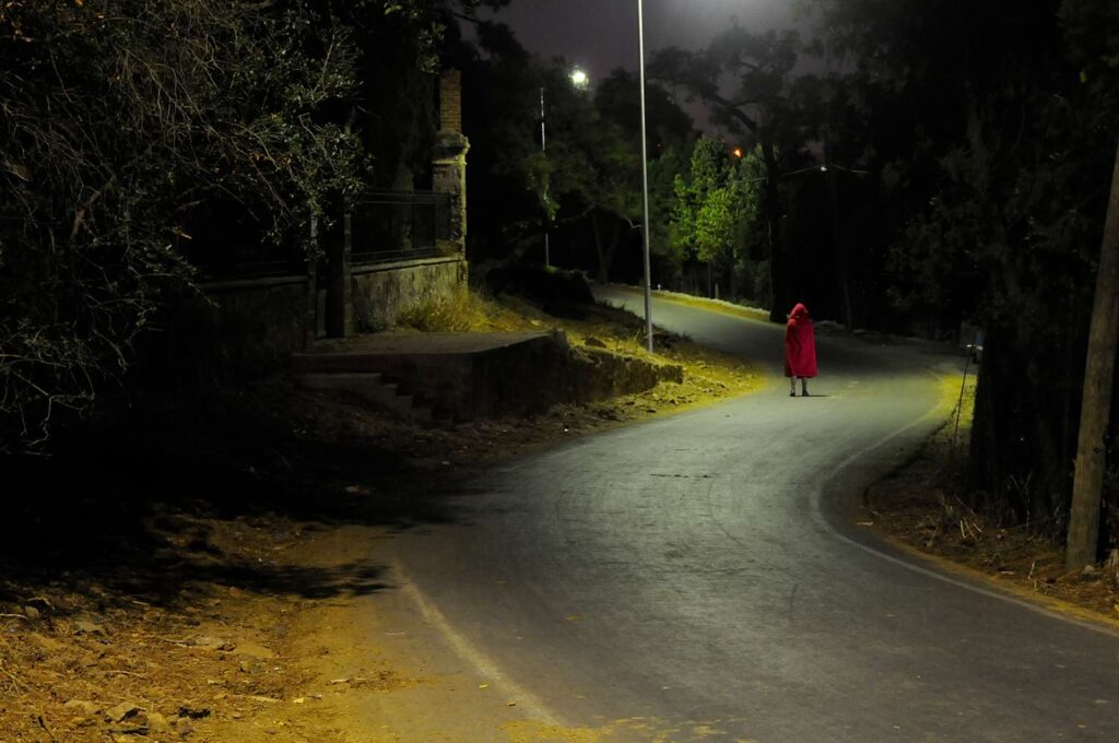 Waiting for the wolf I, İlke Yılmaz
