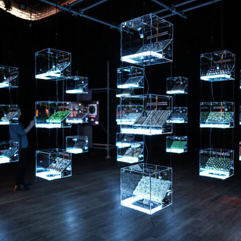 Ars Electronica, Zorlu PSM