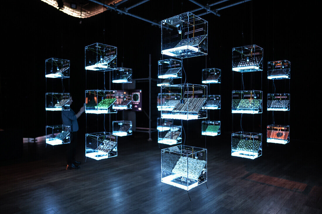 Ars Electronica, Zorlu PSM