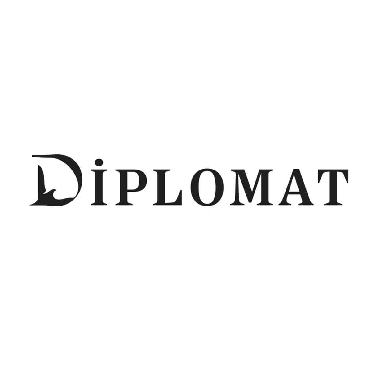 Diplomat i