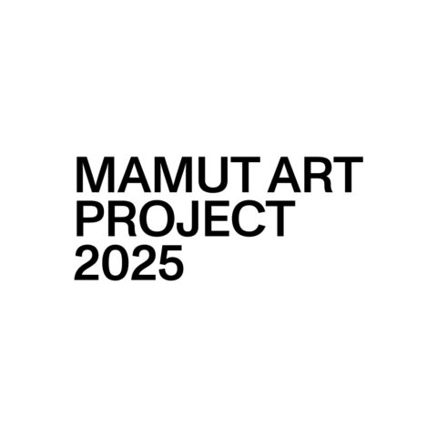 Mamut Art Project