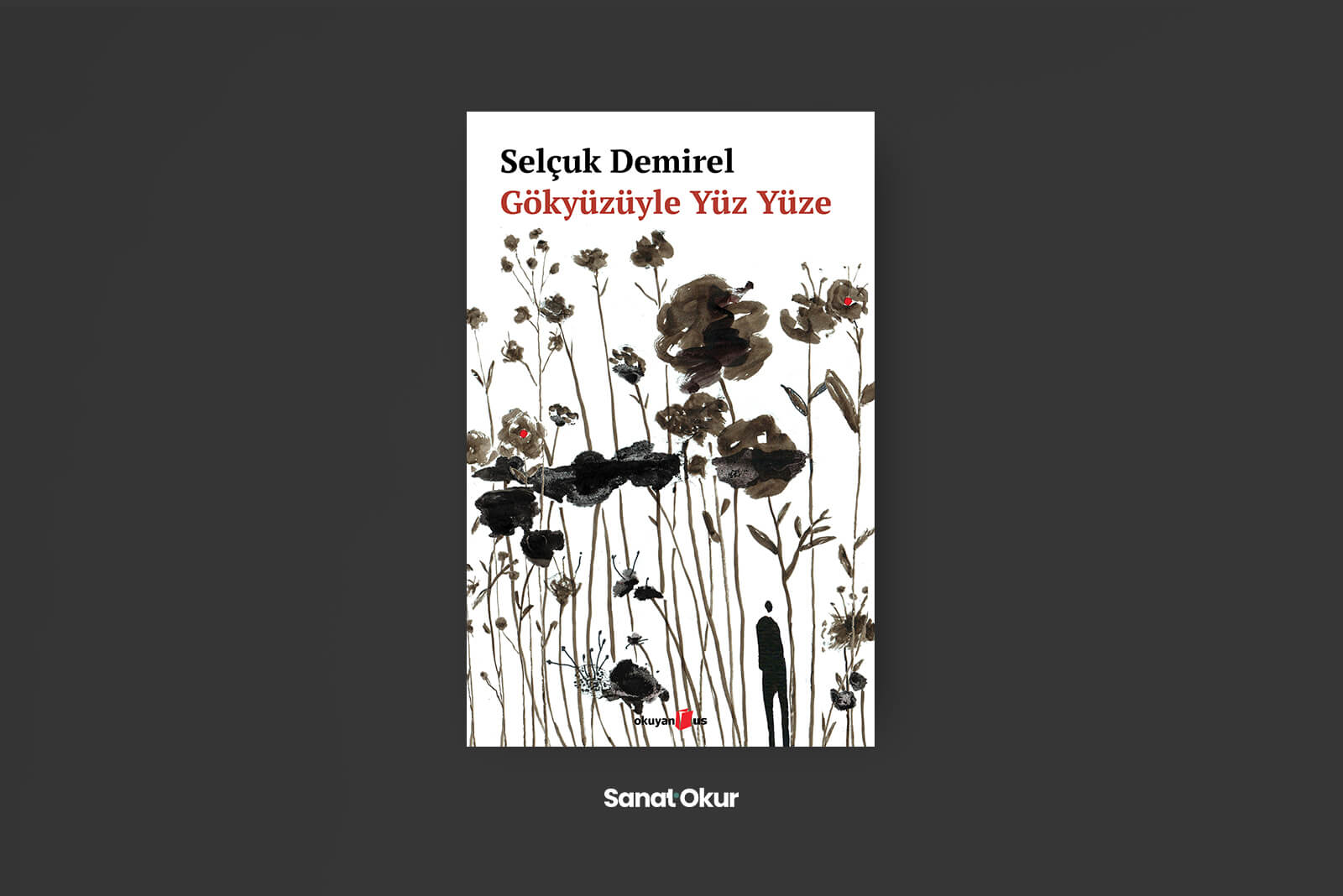 Gökyüzüyle Yüz Yüze Yazar: Selçuk Demirel