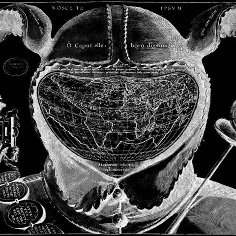 Ludovic Bernhardt "Fool's Cap Map of the World"