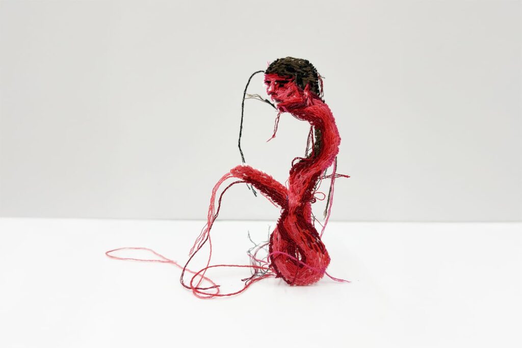 Seda Hepsev, İsimsiz, Kumaş üzerine el işlemesi, alüminyum tel, 15 x 6 cm, 2025