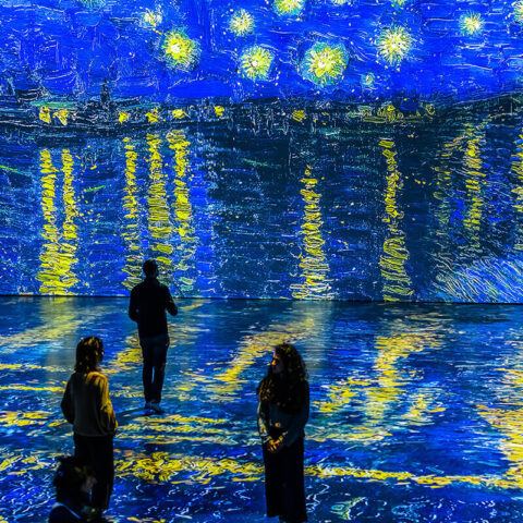 “Van Gogh: Işığın İzinde” Sergisi Dijital Deneyim Merkezi, 2025 (Photo: Roberto Conte)