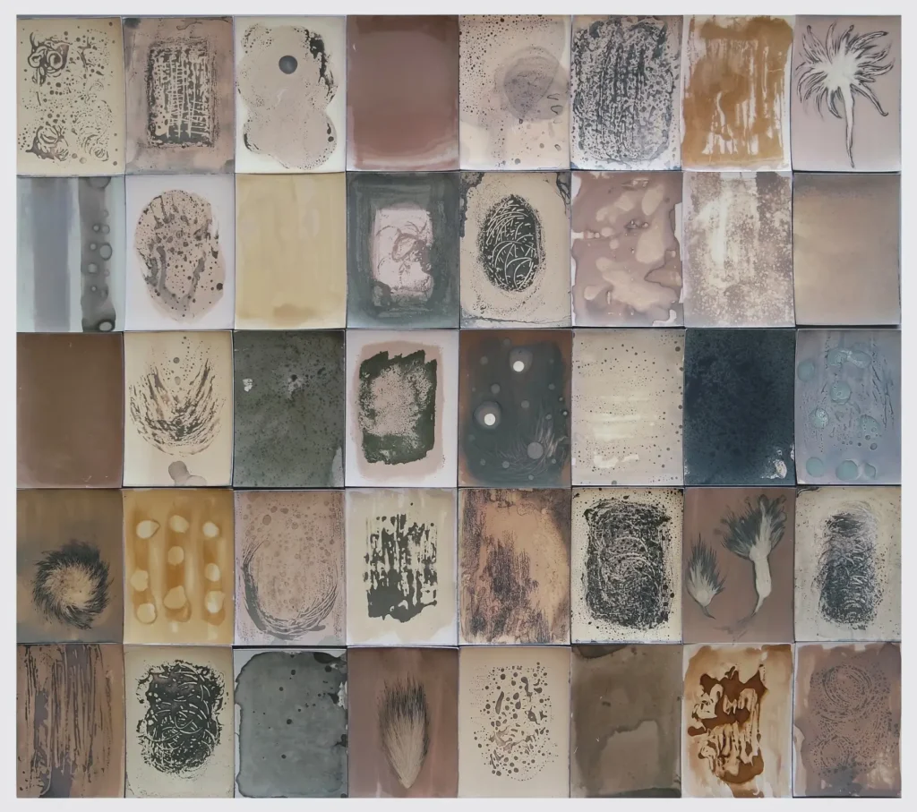 Elif Gözde Korkmaz, Untitled, 44x50 cm Chemigram Çeşitli karanlık oda kağıtları, 2024