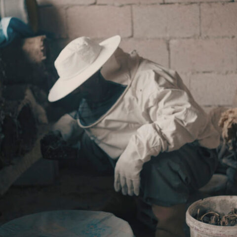 "Nosema" film Yön: Etna Özbek