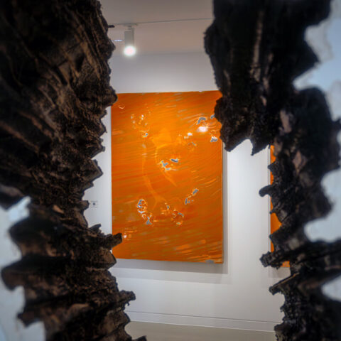 Ruzy Gallery, Tom Fellows "Concentrate" sergi görselleri. Foto: Kaan Karaaslan, 2026