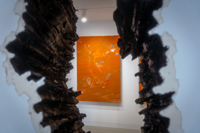 Ruzy Gallery, Tom Fellows "Concentrate" sergi görselleri. Foto: Kaan Karaaslan, 2026