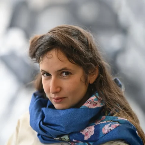 Mîna Kocailik