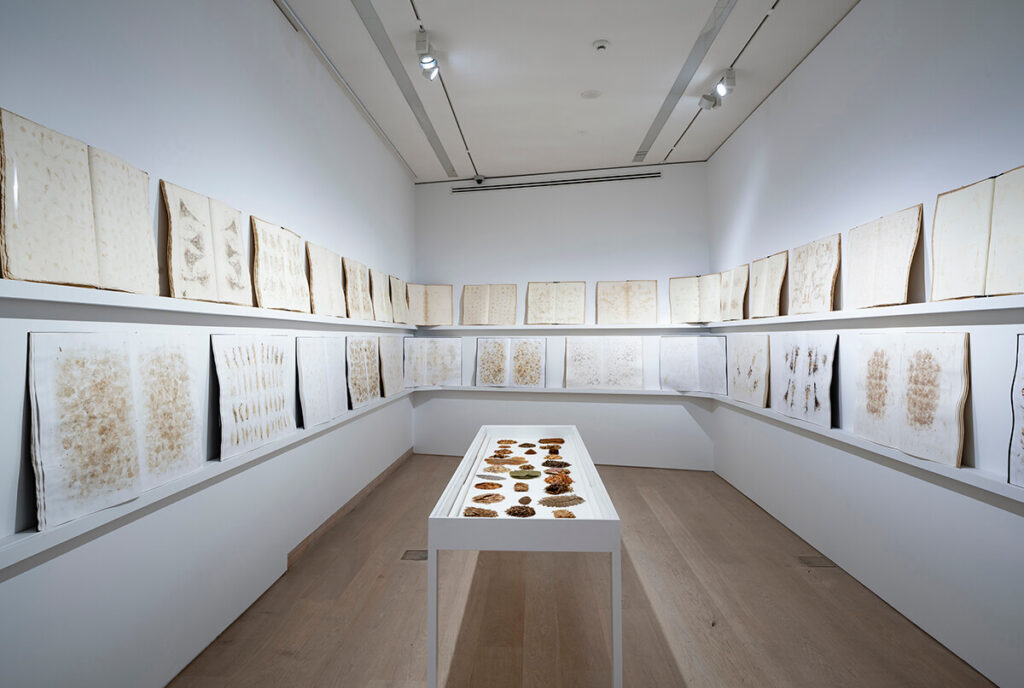 Arter, Tayfun Erdoğmuş "Atlas" Copyright: Orhan Cem Çetin
