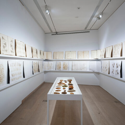 Arter, Tayfun Erdoğmuş "Atlas" Copyright: Orhan Cem Çetin