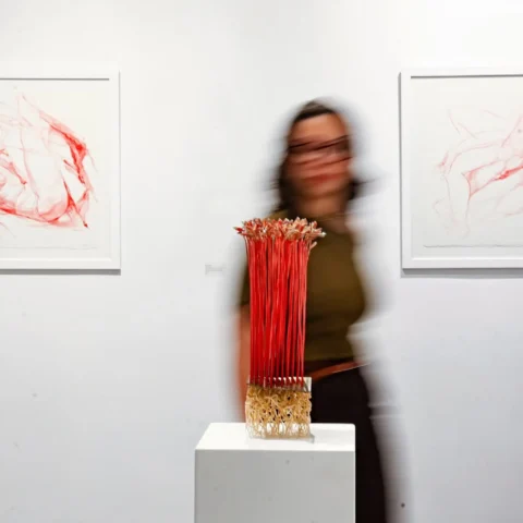 Summer Edition Vol. V, EArt Galeri