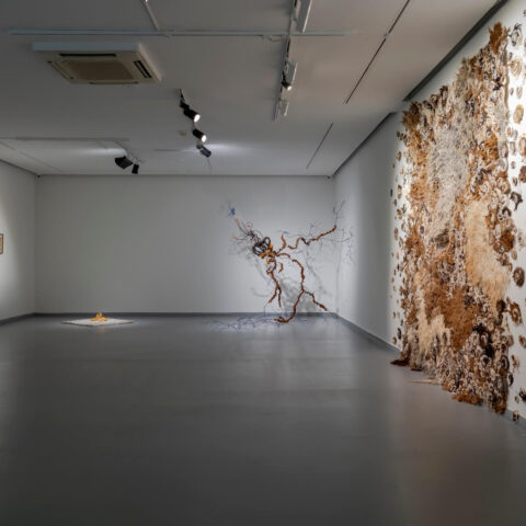 Unfold'26, Zilberman | İstanbul