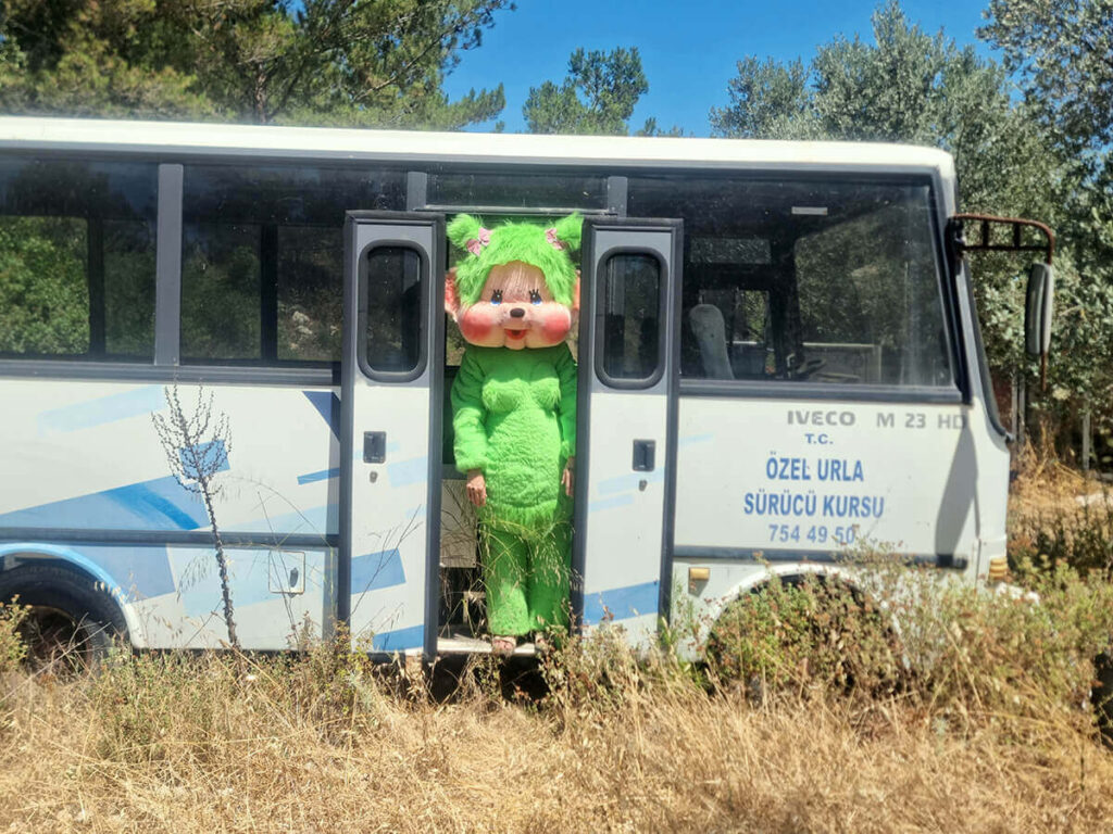 Green Monkey
