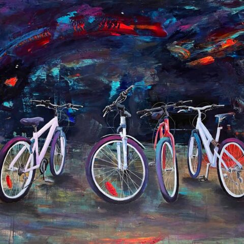 Burak Erim ,Bisikletler - Bicycles, Tuval Üzerine Akrilik - Acrylic on Canvas, 100x120cm, 2025